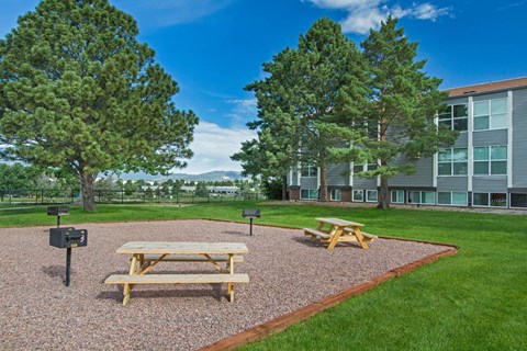 Picnic Area at The Montecito, Colorado Springs, CO